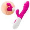 CR-simulation vibrator rose red vibrator